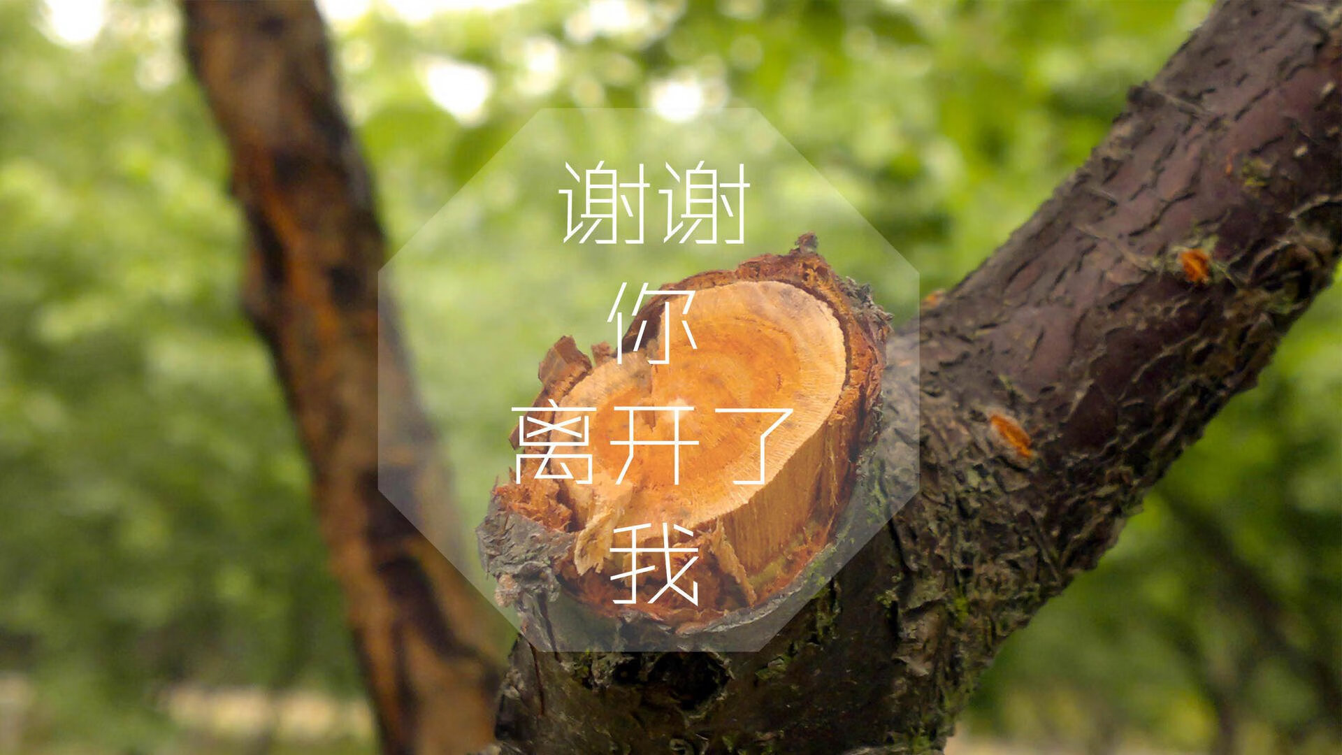 智能体育装备数据分析及训练应用研究，体育智能硬件
