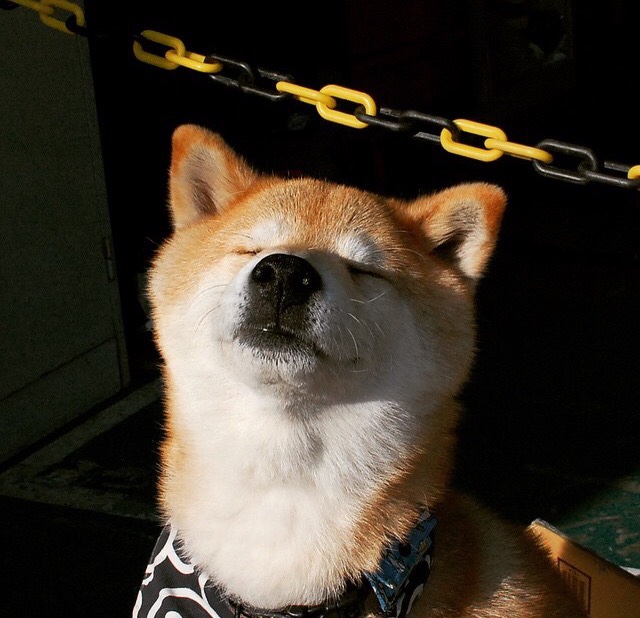 纪录片：足球传奇背后的动人故事，足球传奇的电影