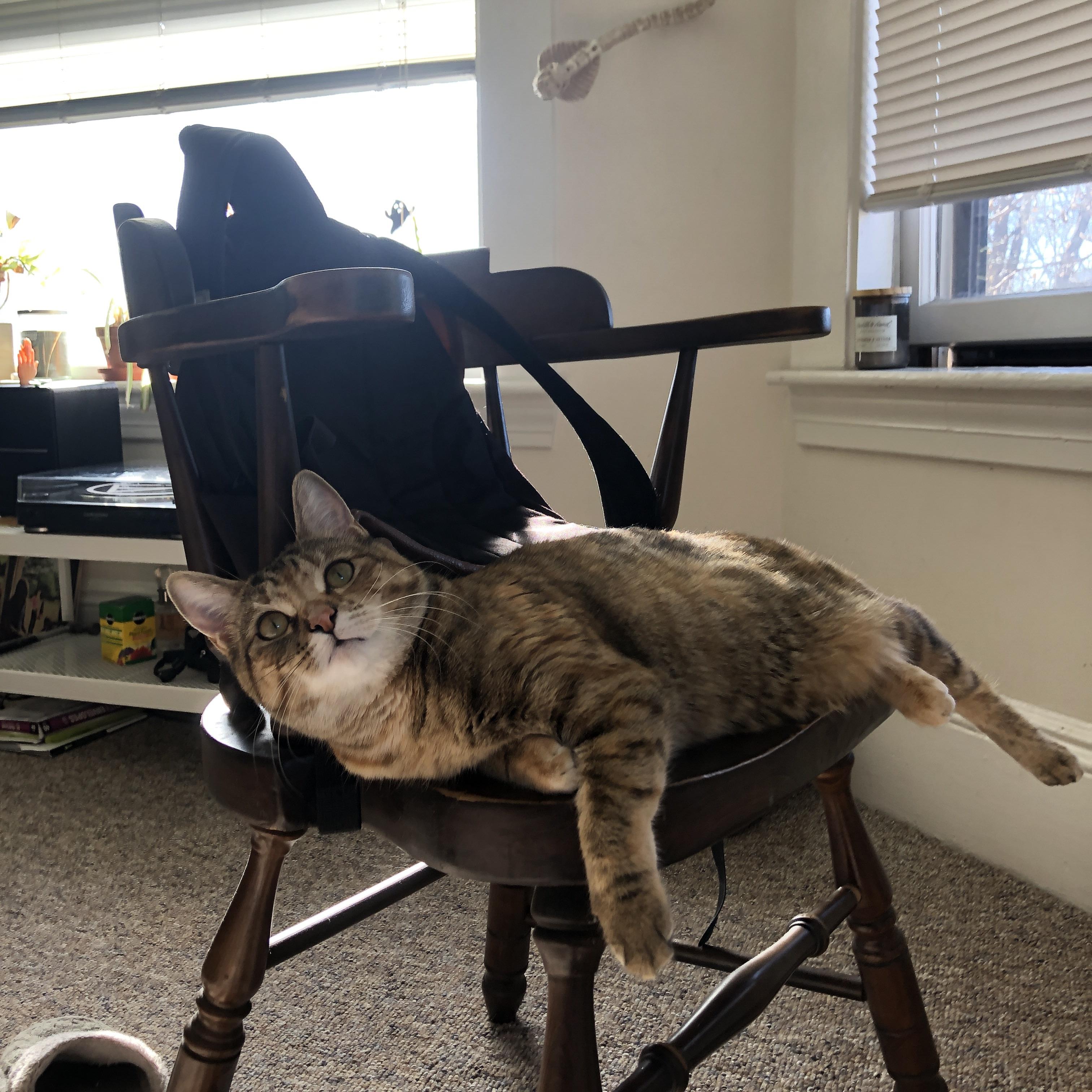 Europan big‑six中跻身前十，前景受限