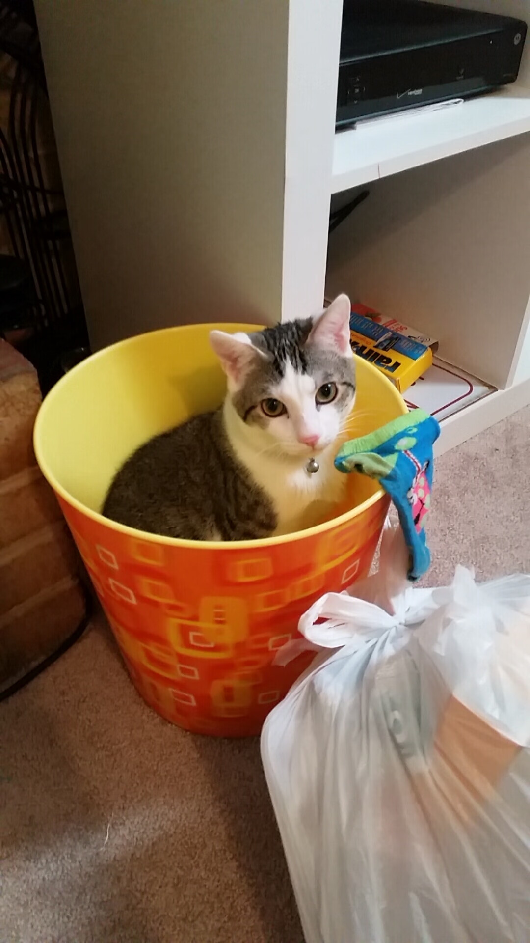 乒乓球竞赛引入随机对手训练机制，乒乓球比赛对手是抽签吗