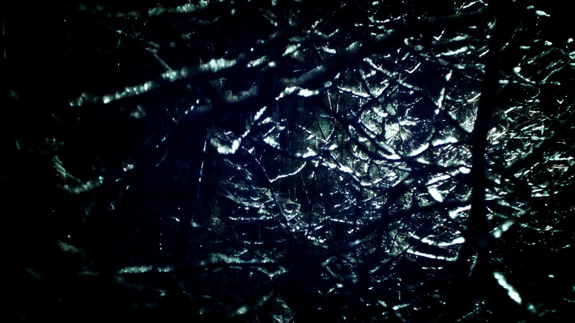 奥预赛中国女足战胜 球迷支持球队努力，中国女足球奥运会预选赛赛程时间表