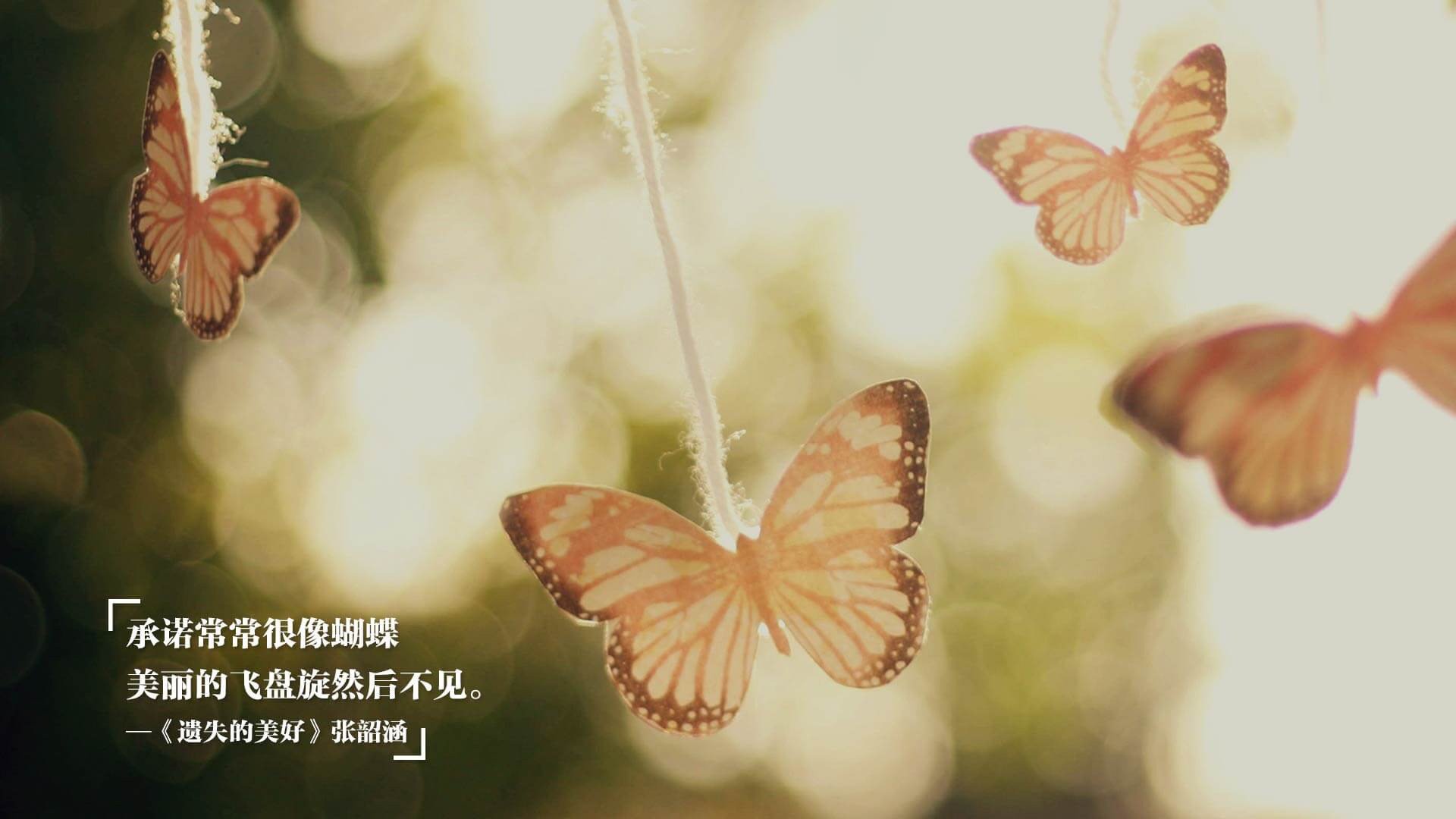 杨瀚森助攻数据稳步提升展示全能属性，杨翰笙个人介绍