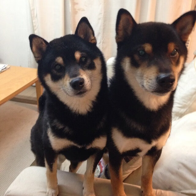 波兰队未来展望：加强国内青训资源，挖掘潜力球员，波兰队的