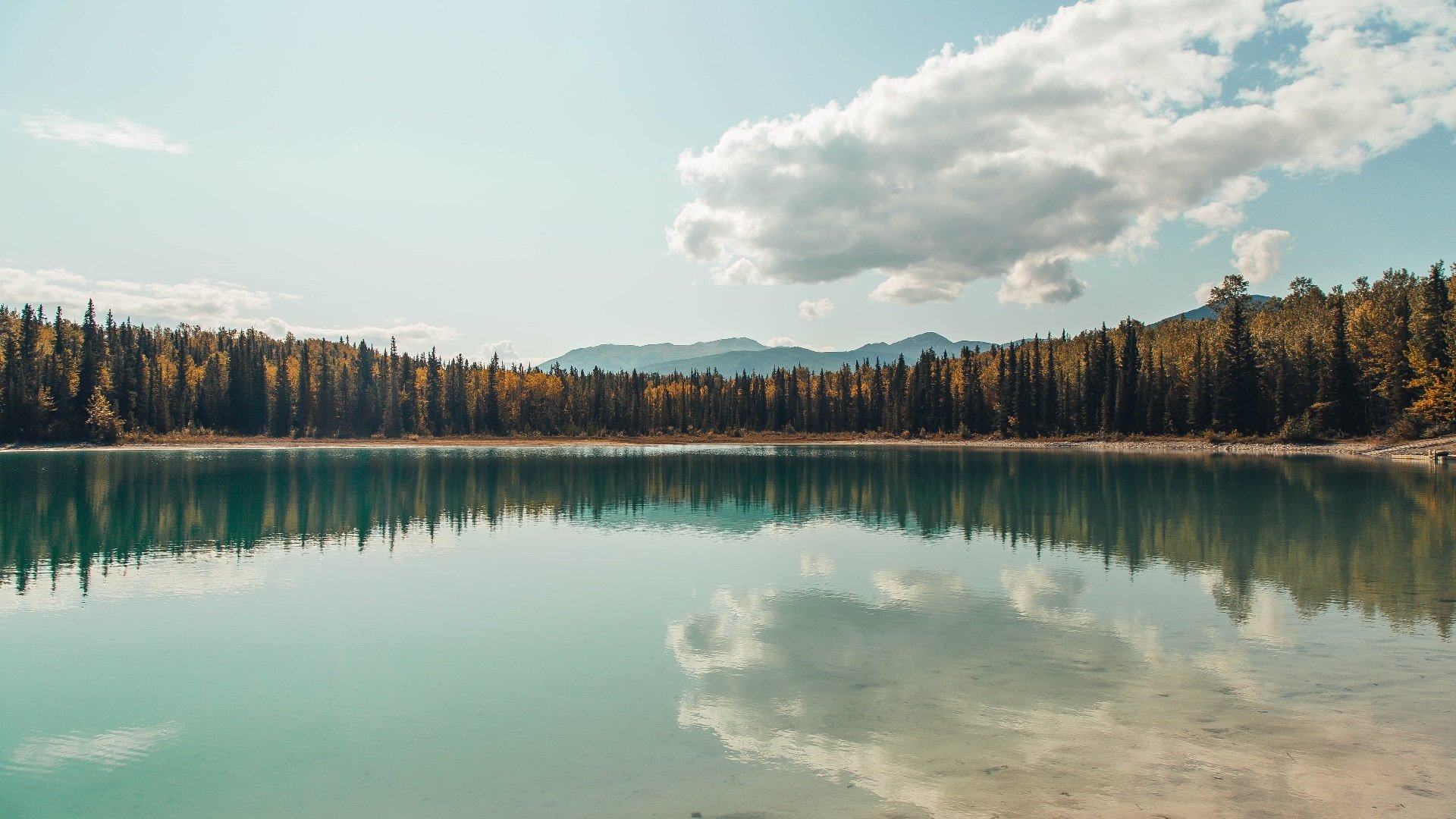 乐鱼官网-美国队未来发展战略：如何利用赛制改革激发团队潜力，美国队选拔队