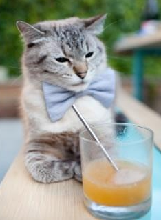 职业联赛视频内容为何少有球员视角,没职业联赛