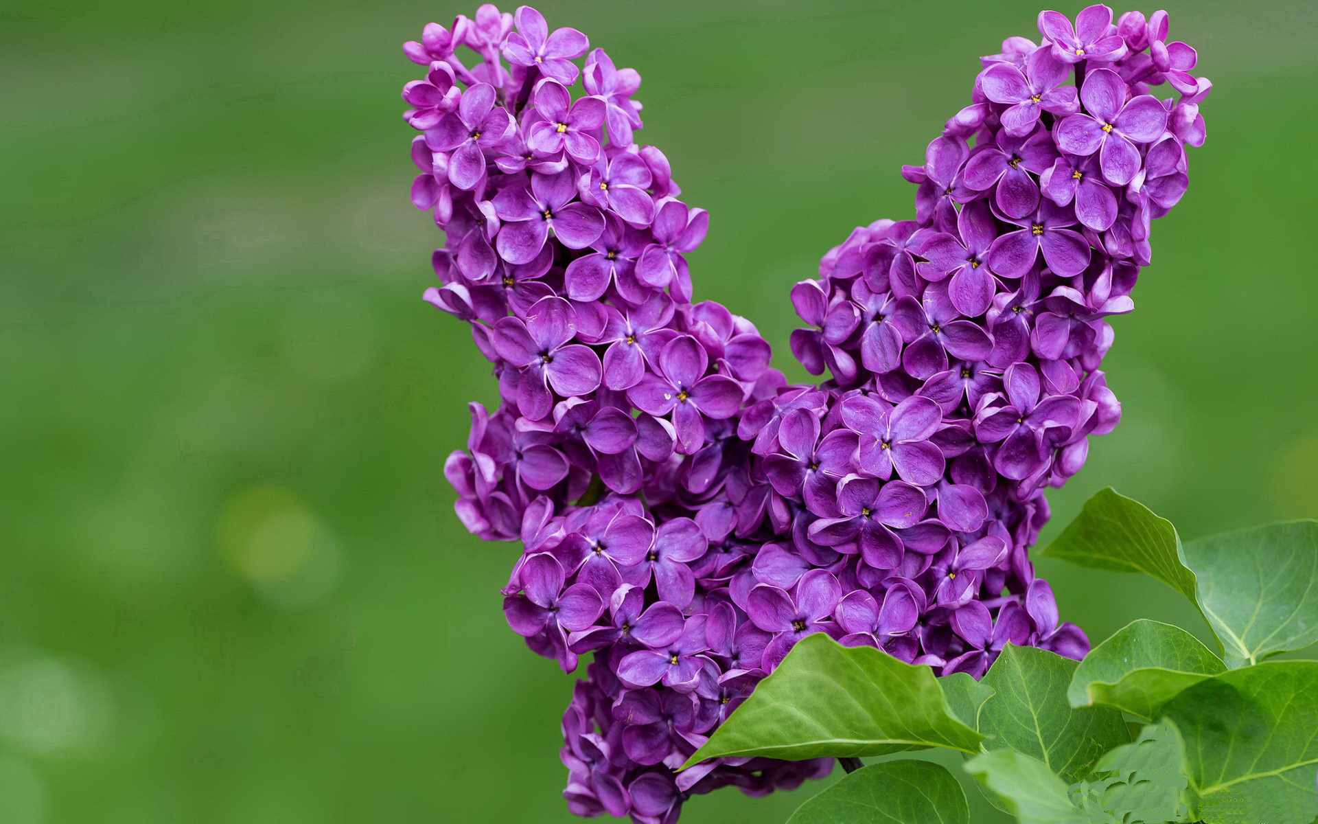 LEYU SPORTS中国官方网站-赛季中教练战术变革后场均进球变化趋势，教练技术犯规几次下场