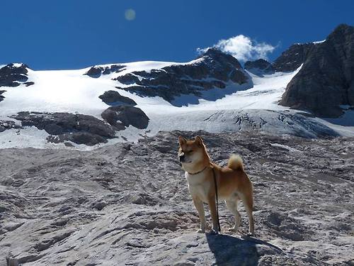 青少年体育赛事活跃促进健康成长，青少年体育赛事体系