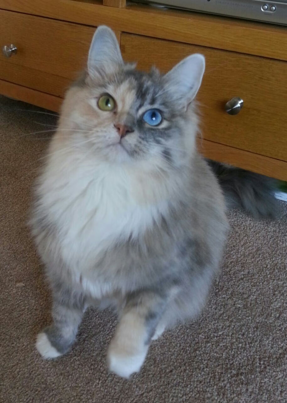 LeyuSports-中国篮球加强数据分析应用提升比赛战术研究深度，篮球数据分析报告