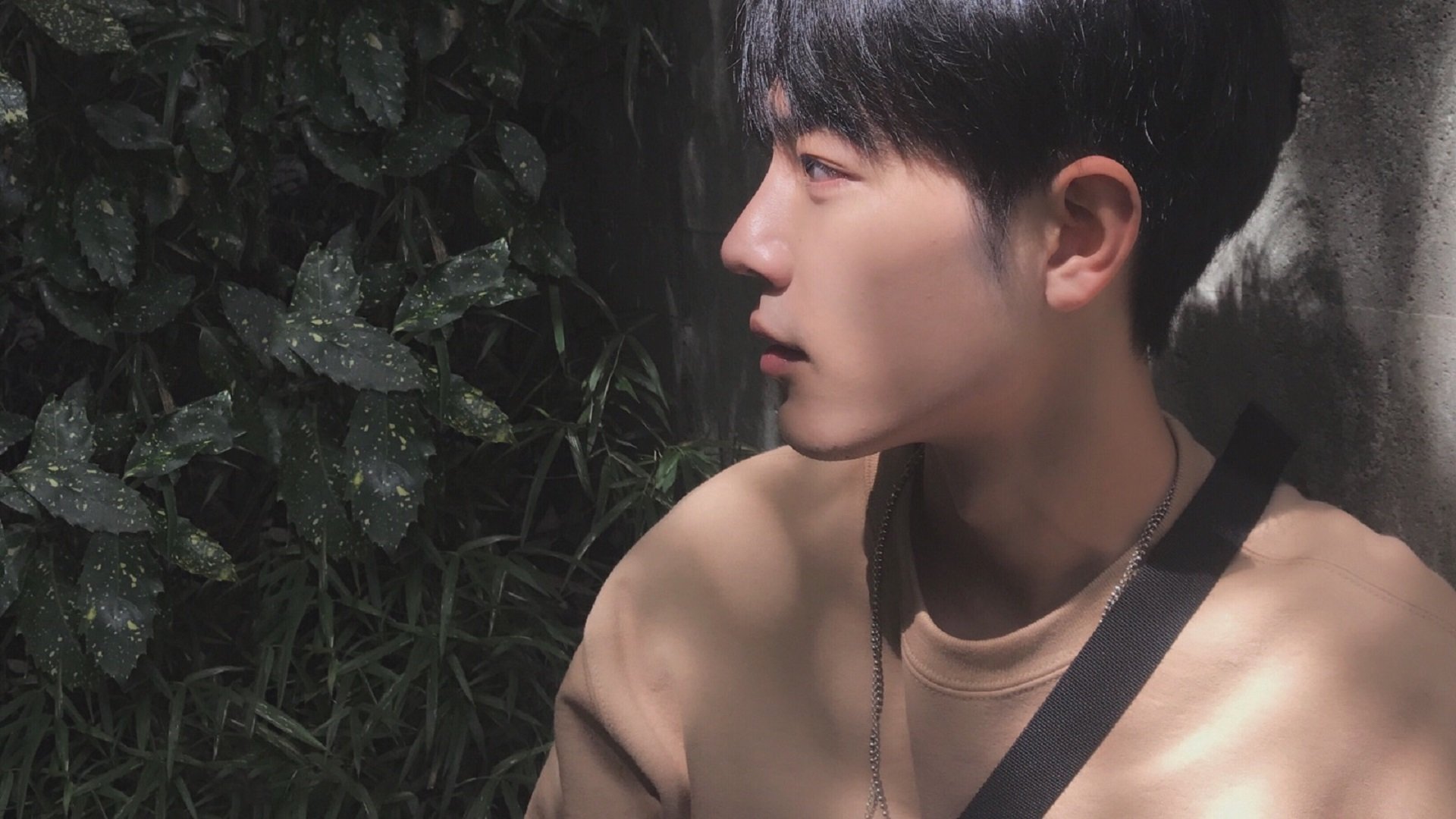 中国足球青训项目与高校合作模式创新，足球青训学校