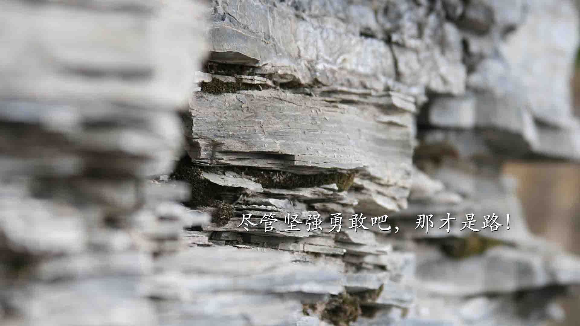 丹·卡特的领导力与球场表现，巩固了全黑队的核心地位，卡特丹宁斯