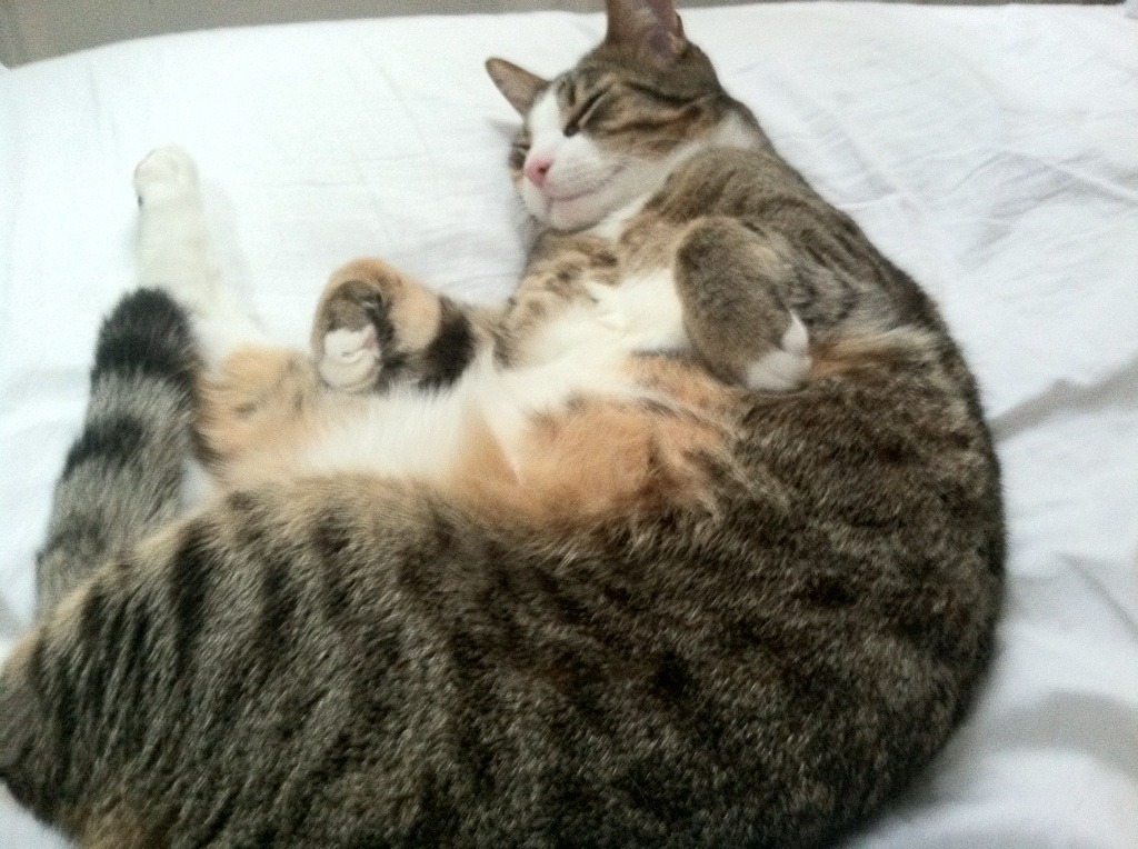 LEYU SPORTS中国官方网站-勇士教练强调防守是争冠最大关键，勇士的防守体系是什么