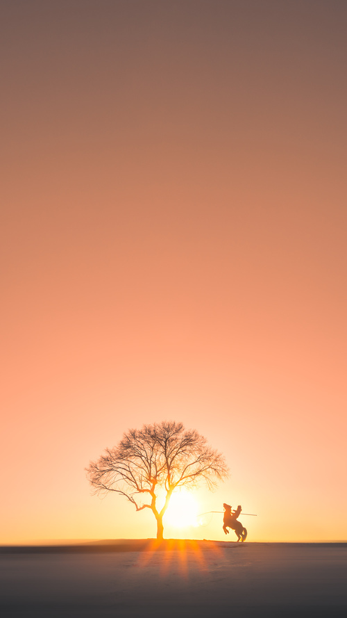 森林狼核心轮休替补球员表现亮眼,森林狼球队阵容