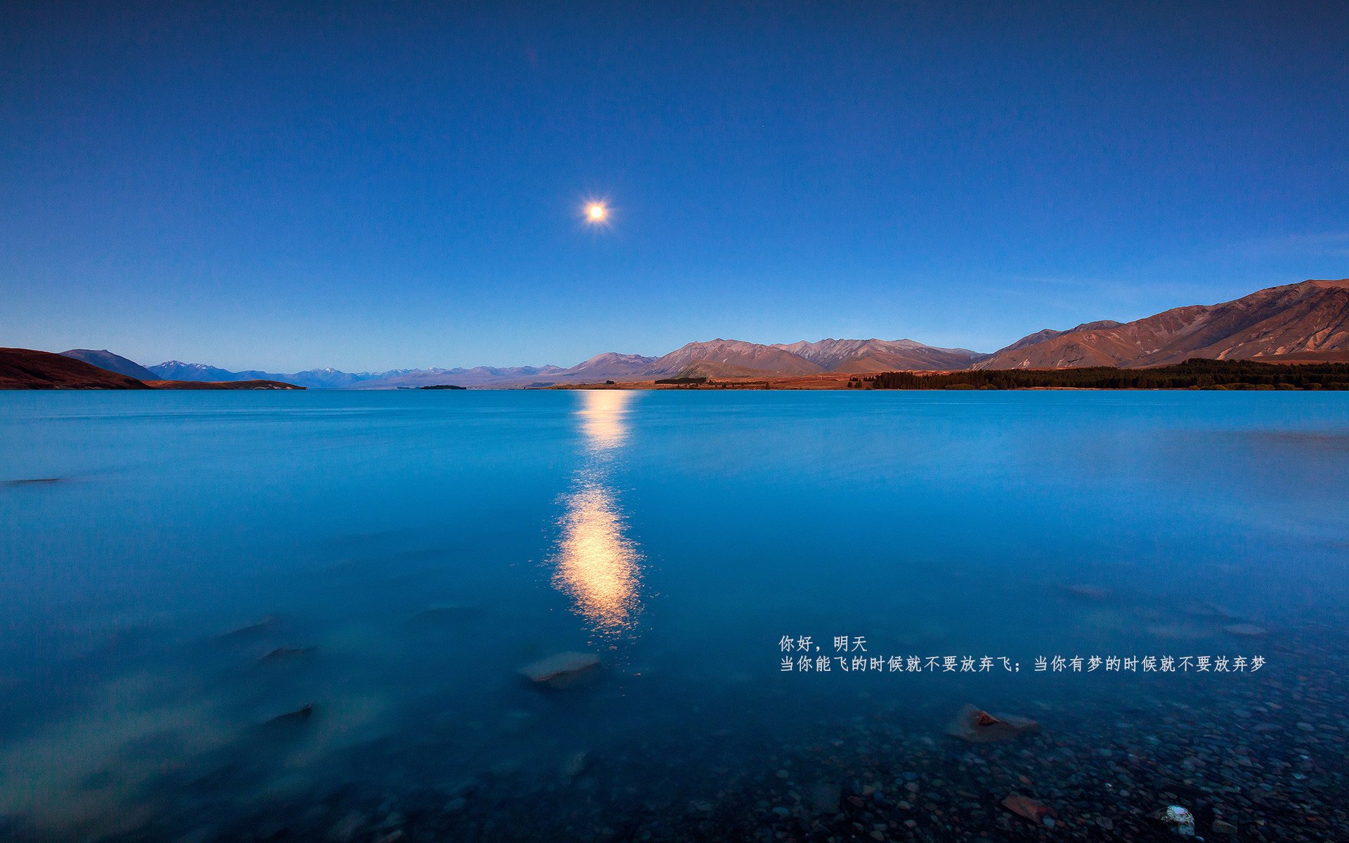 美洲杯激情激烈:逆境中崛起的队伍,美洲杯精彩集锦