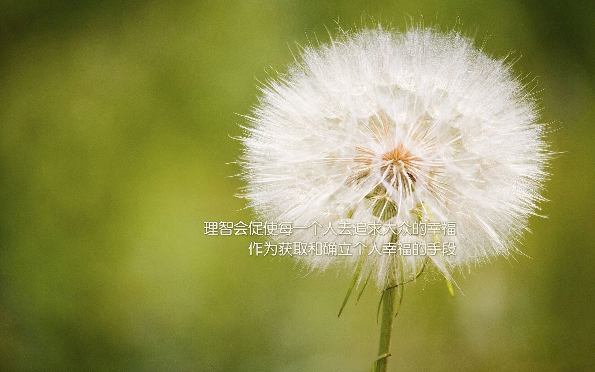 职业联赛开展球员心理健康讲座促进身心健康,足球心理训练对于青少年球员产生的影响