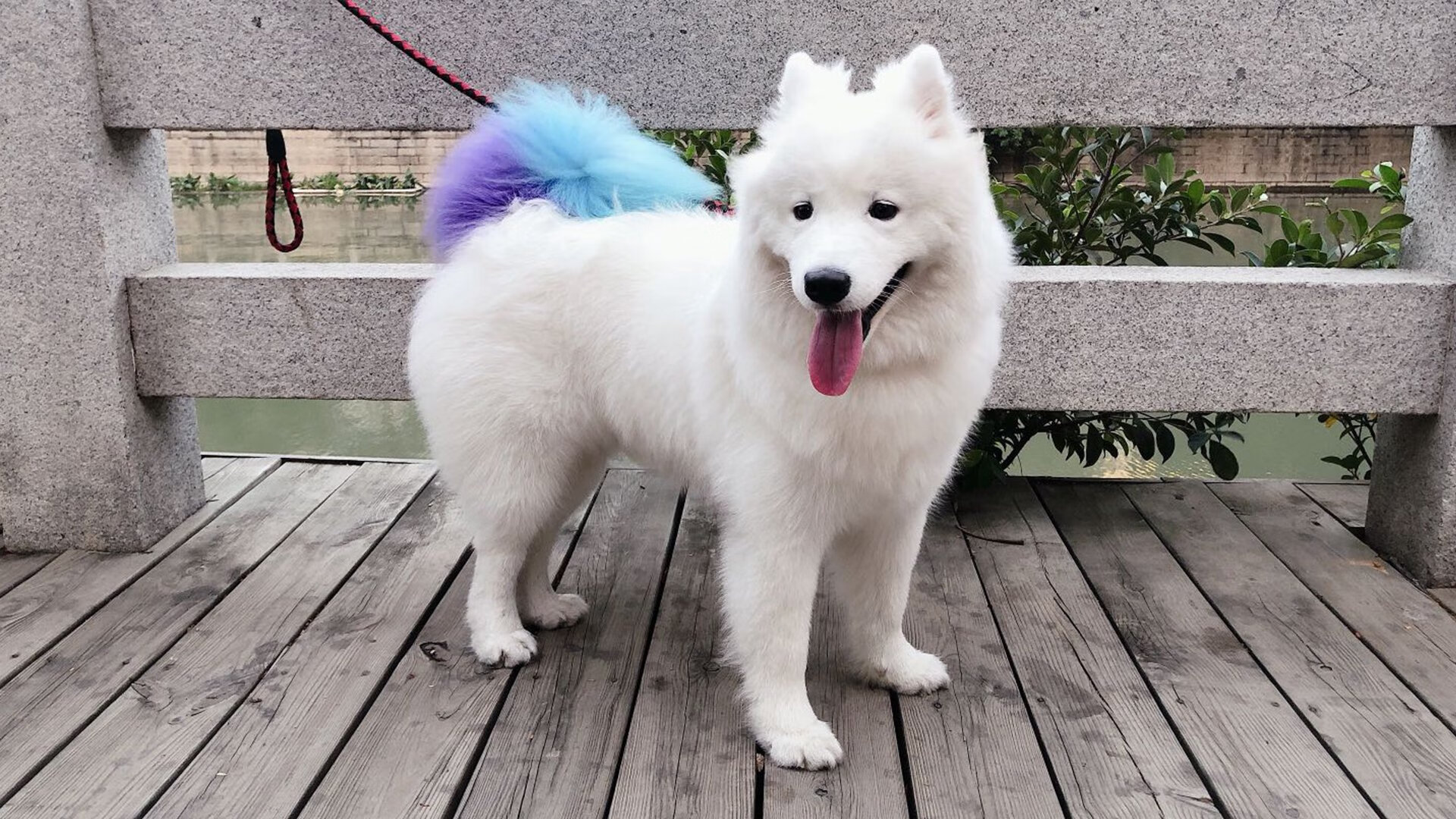 中国足球国家队注重技战术创新，国足的技术